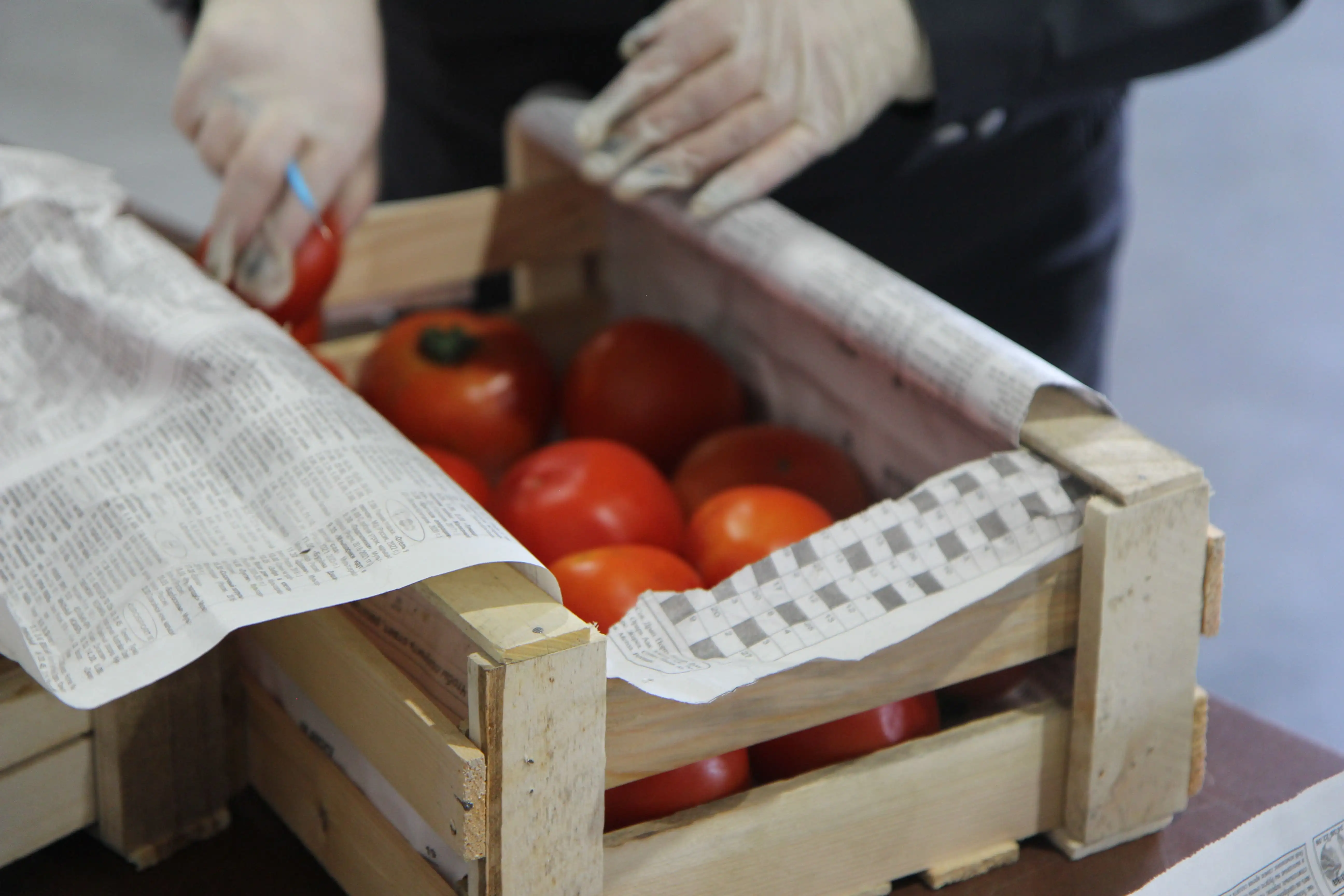 Фото: Россельхознадзор по Красноярскому краю