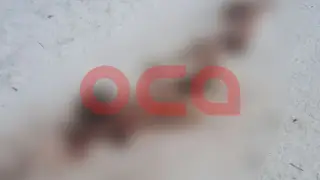 Свора бродячих собак растерзала косулю прямо в деревне под Ачинском