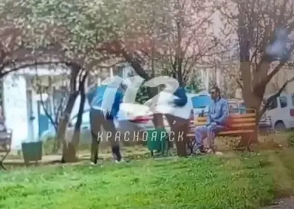 Красноярец плюнул в пенсионерку, отобрал костыль и избил ее собаку после замечания о распитии алкоголя