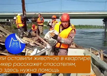 В Красноярском крае река Кас вышла из берегов и затопила 4 жилых дома