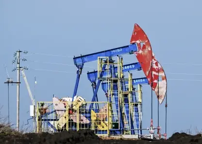 Иркутские ученые исследуют микроорганизмы для очистки нефти