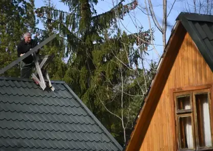 Дачный сезон как точка кипения: эксперт назвал топ-10 самых частых конфликтных ситуаций  с соседями