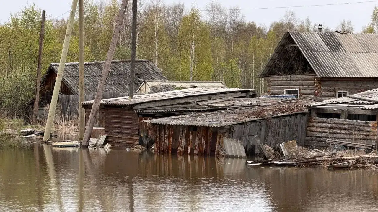 Фото: МедиаПарк