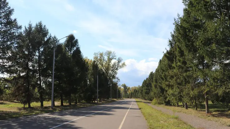 В Красноярске на острове Татышев заработал летний прокат