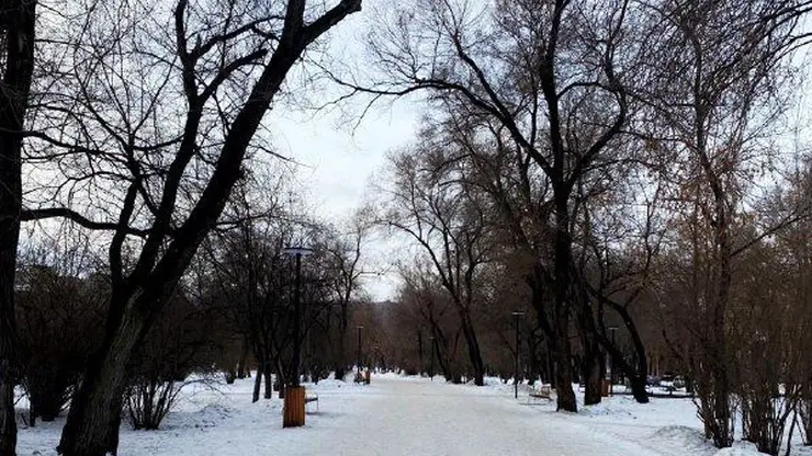 Заморозки и снег ожидаются в Красноярске на следующей неделе