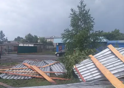 Шторм повредил дома, повалил деревья и отключил электроэнергию в 24 населённых пунктах Новосибирской области