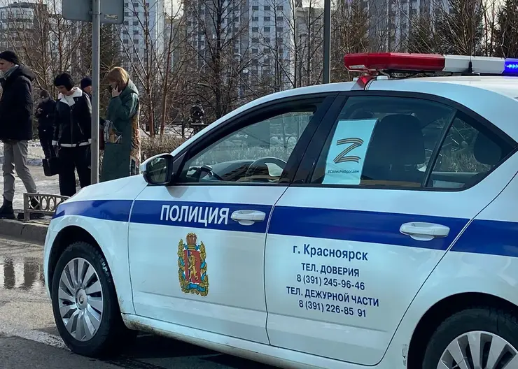 В Красноярске предотвратили контрабанду леса