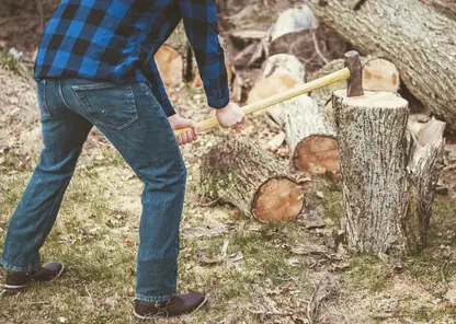 Суд взыскал более 34 млн рублей с контрабандиста леса в Иркутской области