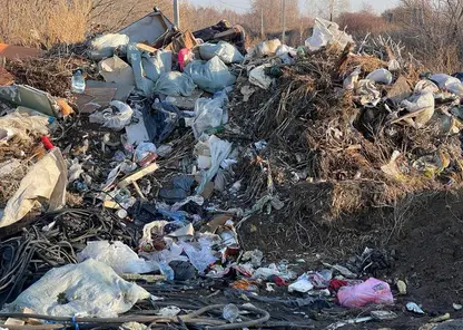 В Новосибирске благодаря прокуратуре около аэропорта Толмачево ликвидировали свалку