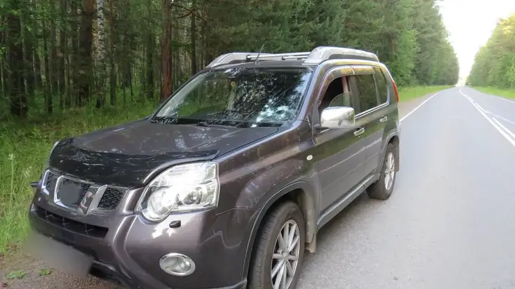 В Железногорске пенсионер расстрелял машину, в которой находились его соседи по даче