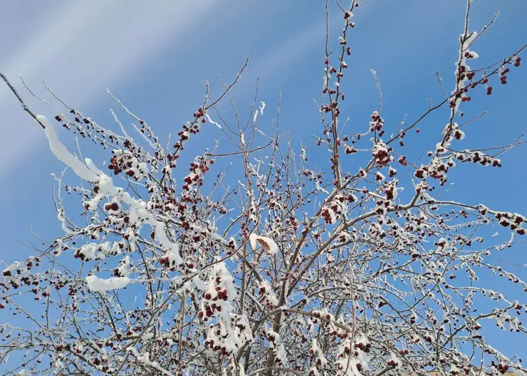 Потепление и снег. Прогноз погоды на выходные в Красноярске