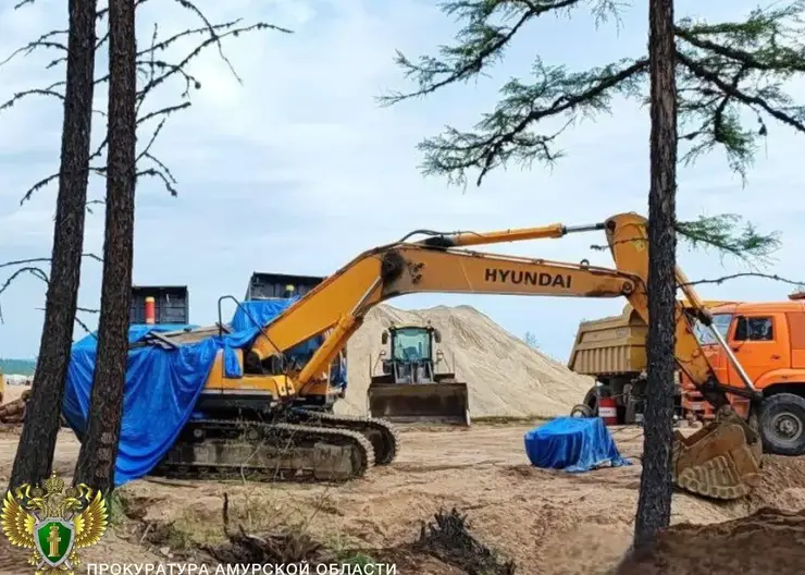Золотодобывающая компания заплатит 250 тысяч рублей за самовольный захват земли в Амурской области
