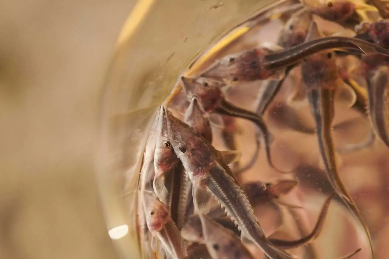 Фото: пресс-служба ВСНК