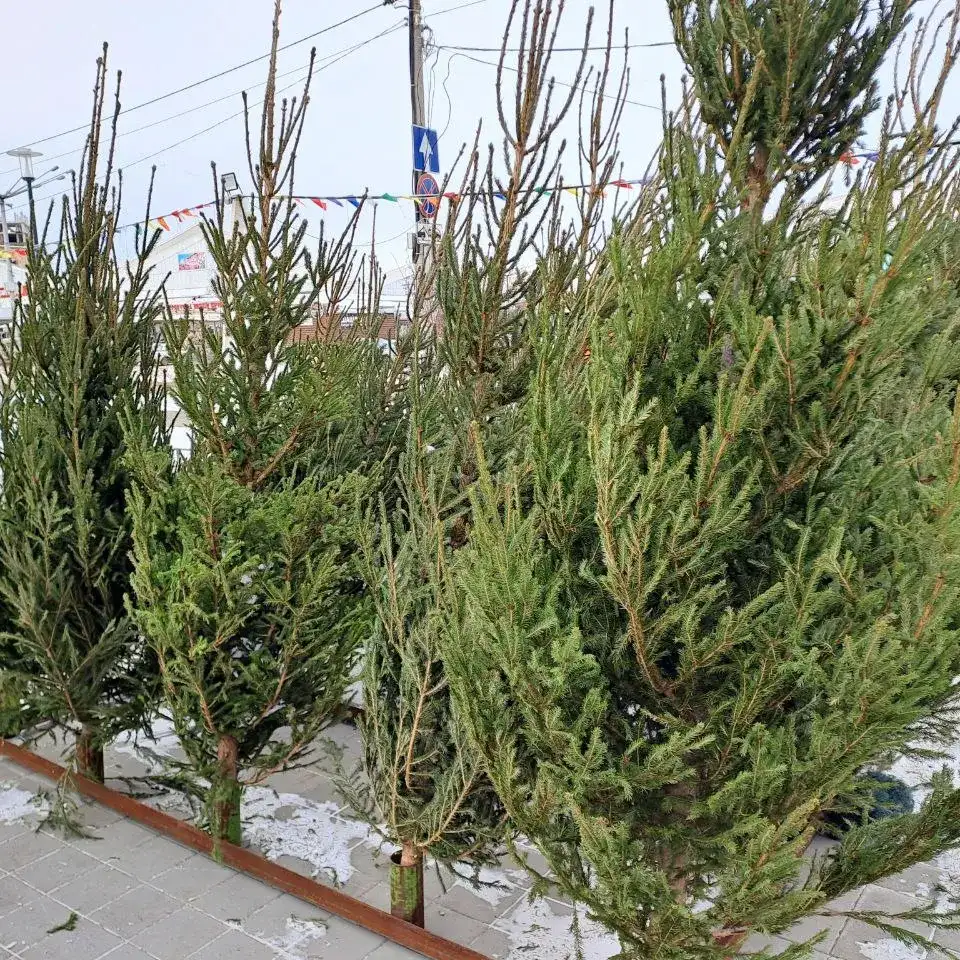 Фото: sibnovosti.ru