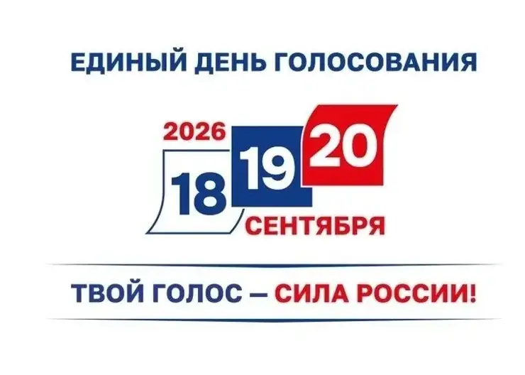 Как получить помощь волонтёра на избирательном участке