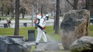 Жители Забайкалья с начала года 3217 раз обратились к медикам с жалобами на укусы клещей