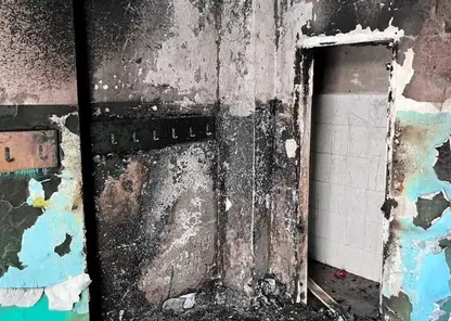 Китайский смартфон взорвался в рюкзаке школьника во Владивостоке и испепелил раздевалку