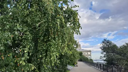 Похолодание и дождь ждут красноярцев в предстоящие выходные