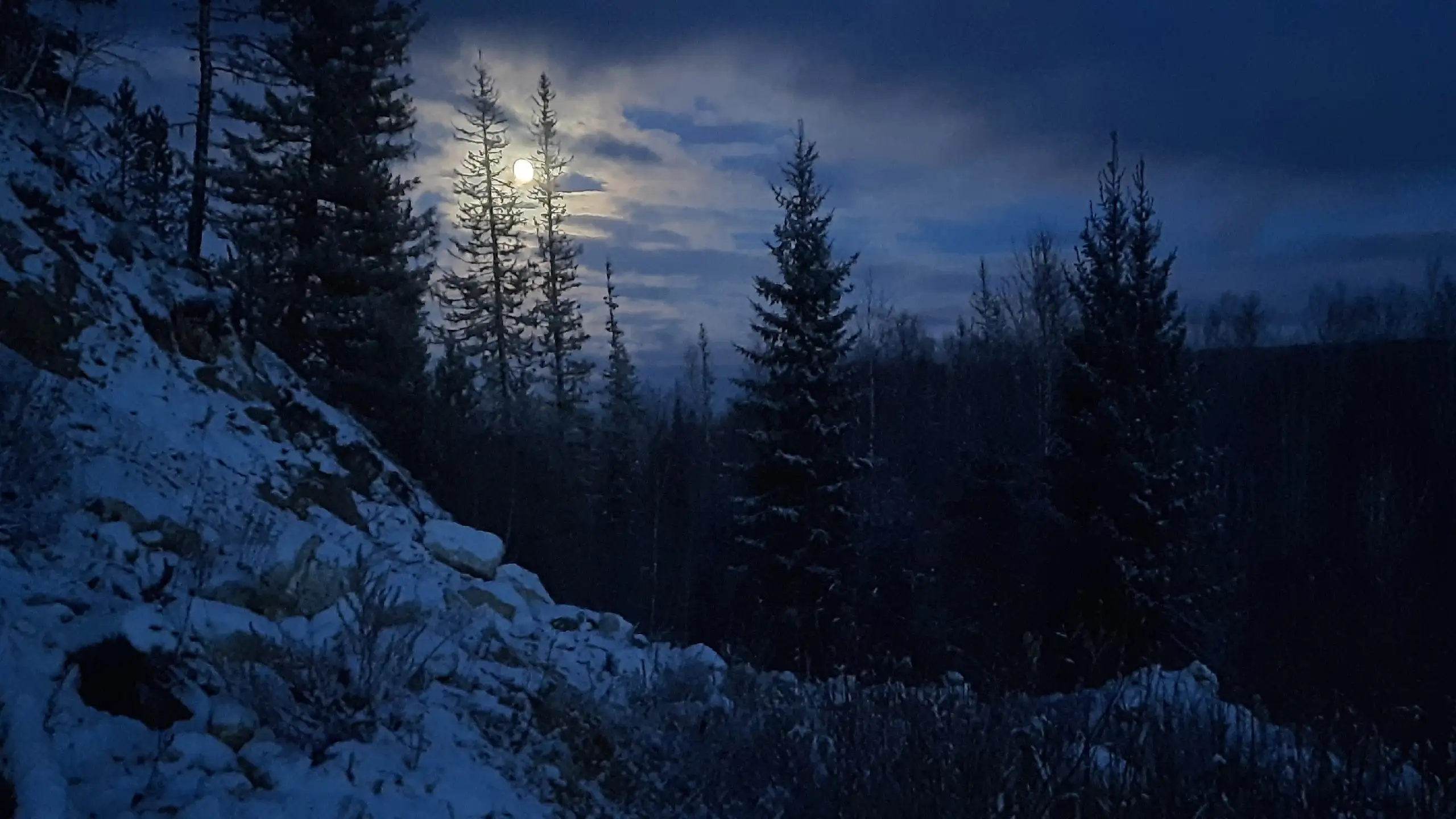 Фото: Ирина Якунина