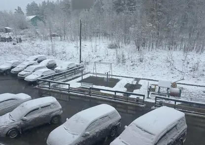 Майский снег выпал в Красноярском крае и соседней Хакасии: делимся кадрами