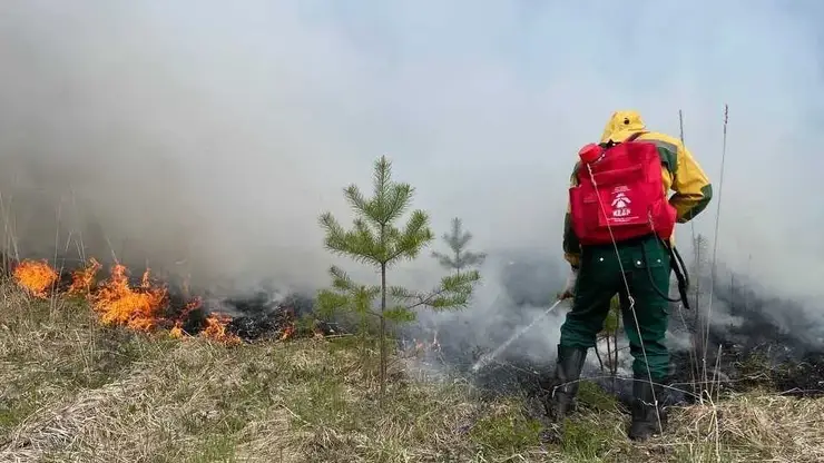 Лучшие лесопожарные подразделения Красноярского края получат 50 тысяч рублей на развитие