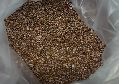 Красноярец продал три килограмма незаконного золота на 12 миллионов рублей