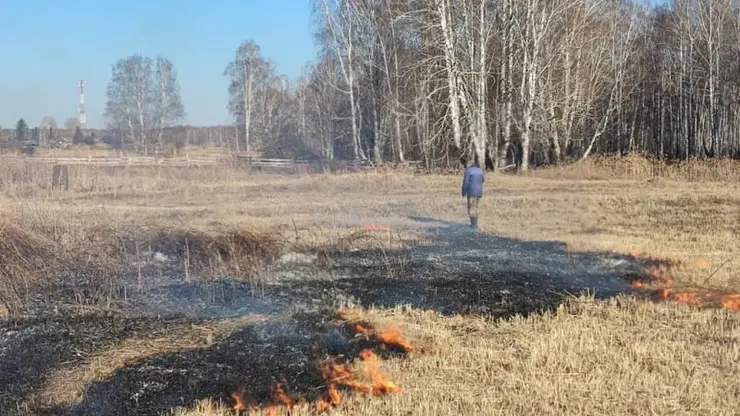 В Красноярском крае мужчина ради картошки поджёг траву