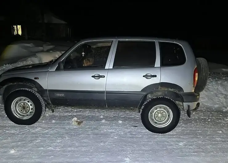 Под Новосибирском нетрезвый пенсионер насмерть сбил девочку