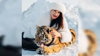 «Мы живём в зоопарке 24/7»: как семья из Приморского края создала дом для тигров и львов в чистом поле
