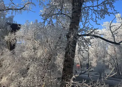 При какой температуре отменяют уроки в школах Красноярска в морозы: официальные нормы