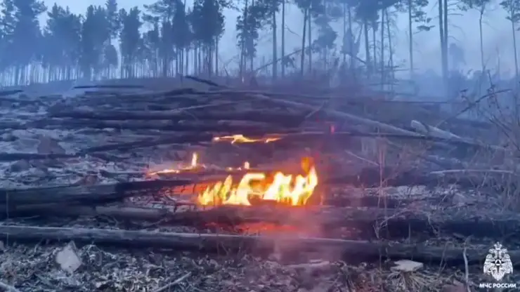Дети спалили пять гектаров леса в Бурятии