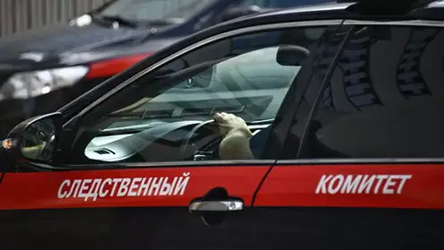 В Красноярском крае мужчина пытался убить 2-месячного сына