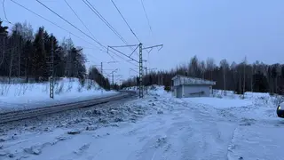 В Красноярском крае грузовой поезд насмерть сбил пешехода