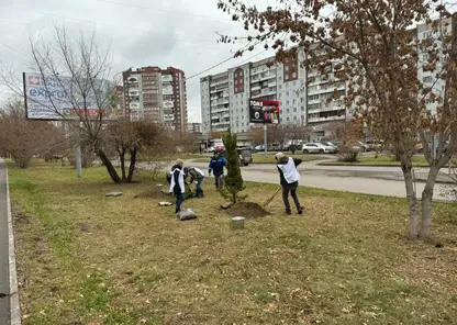 В микрорайоне Взлётка состоялась экологическая акция по посадке деревьев