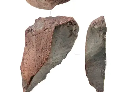 В красноярском Солнечном обнаружили стоянку людей эпохи палеолита