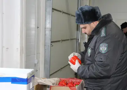 Около 360 тонн импортных овощей и фруктов привезли в Красноярский край в новогодние праздники