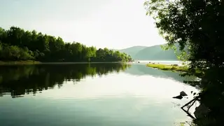 Новый заповедник может появиться под Красноярском до 2033 года