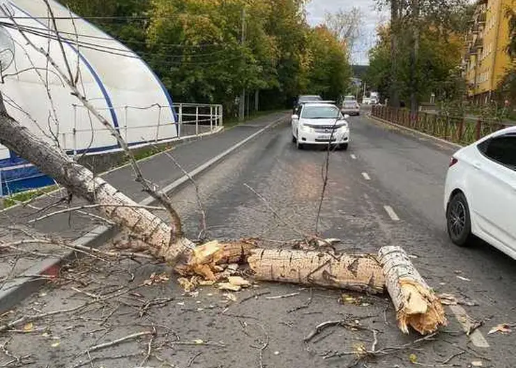 В Иркутске ночью 13 сентября прошел сильный ураган
