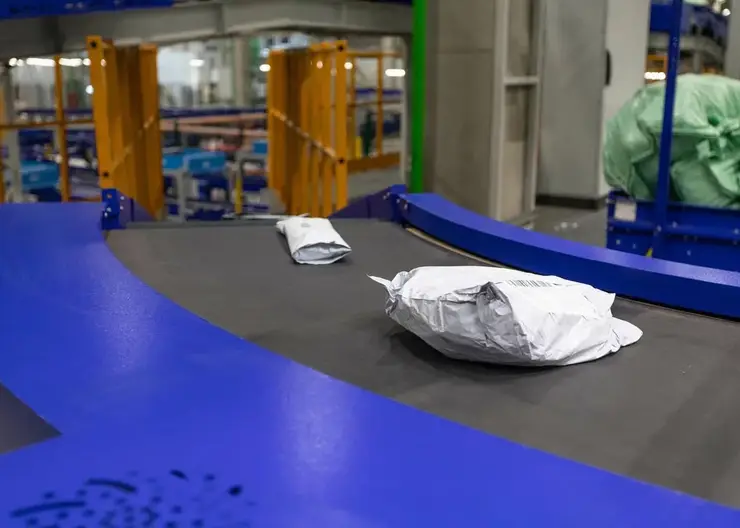 Новосибирские таможенники перехватили посылку с 27 отмычками