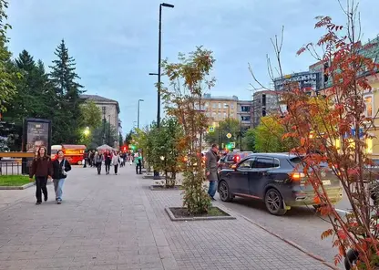 Бабье лето не торопится уходить из Красноярска