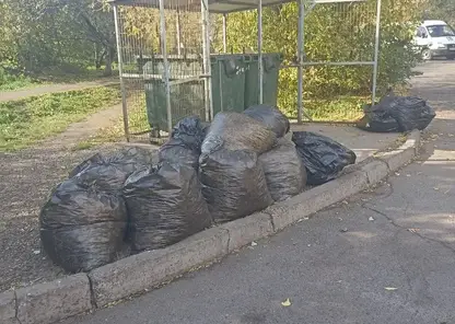 Навели порядок? Пора вывозить мусор!