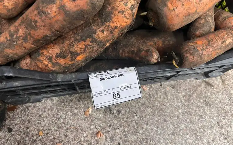 Фото: Прокуратура Красноярского края