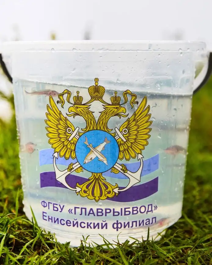Фото: ГК «СтройИнновация»