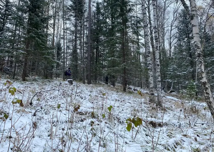 Пропавшую в Красноярском крае семью Усольцевых у горы Буратинка видели туристы