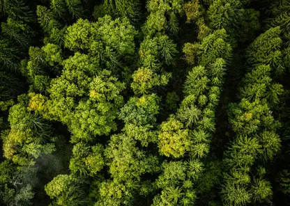 Красноярский край выделит 10 млрд рублей на улучшение экологии