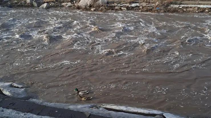 В большом Красноярске перешли на ежедневный мониторинг уровня малых рек