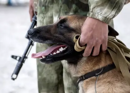 В Красноярском крае задержали сбежавшего из колонии мужчину