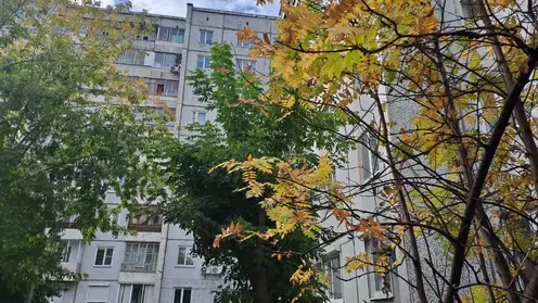 14 октября красноярцев ждет похолодание до -8