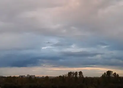 Снова тепло: в Красноярске на новой неделе прогнозируют до +7