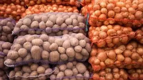 65 тонн казахстанского лука ввезли в Хакасию с нарушениями фитосанитарных правил